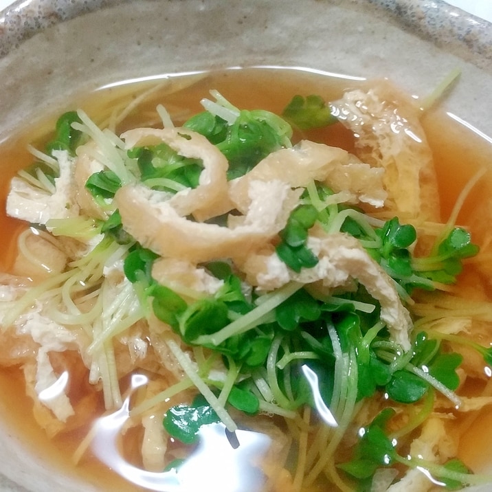 大量消費メニュー かいわれ大根の煮びたし